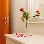 Tunera - Luxury Ii